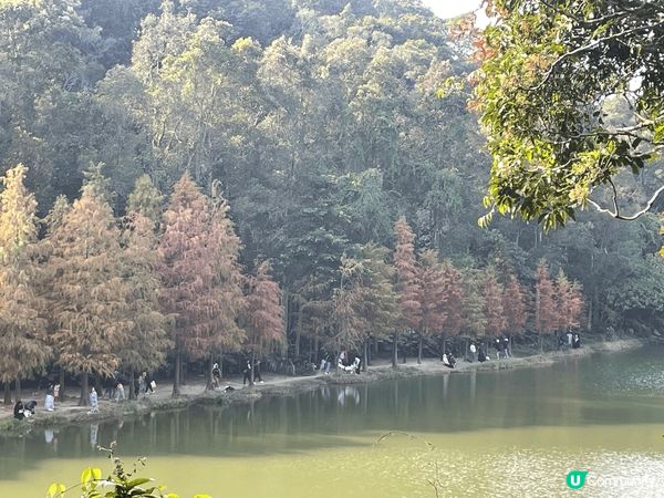 今年農曆新年到杭州及蘇州等地旅行照片，最後一張是香港照片！