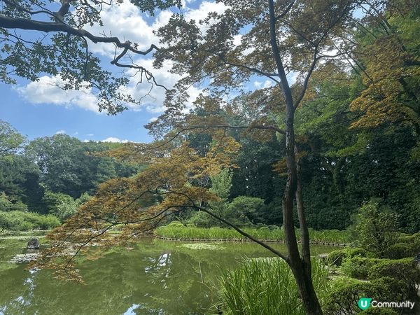 大阪的寺廟很優美，日落在京都塔拍下的全景很浪漫，風鈴御守很可...