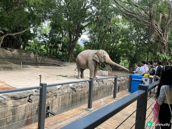深圳野生動物園是位於中國深圳的一座動物園。它位於西麗街道的西...