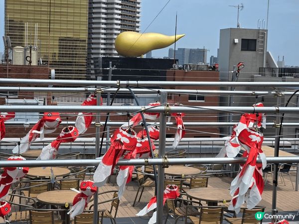 日本東京，食、買、玩，應有盡有，真是樂而忘返
