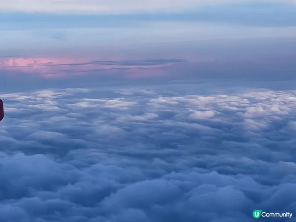 日本東京，食、買、玩，應有盡有，真是樂而忘返