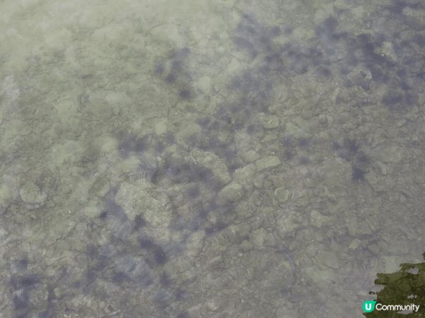 Cambodia 小島！要轉內陸機再轉船！雖然好轉接！但係好...