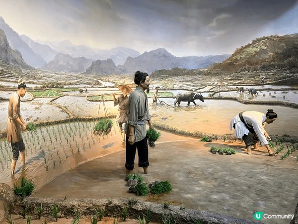 長沙 隆平水稻博物館