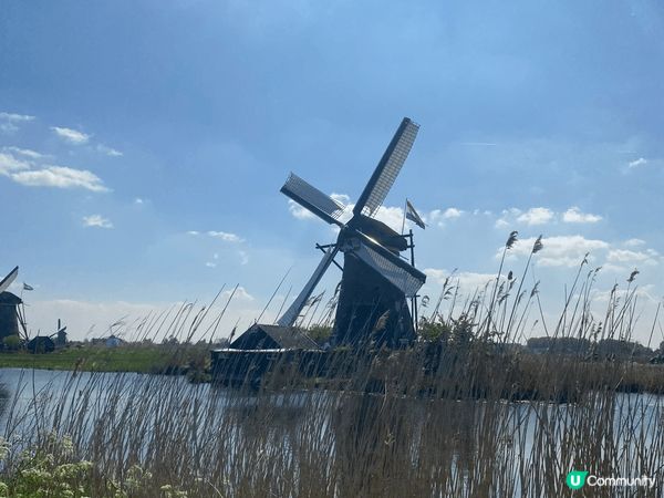 荷蘭阿姆斯特丹必去的打卡景點之一，必屬「小孩提防」，是著名的...
