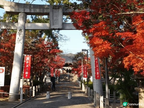 日本玩左2星期既日本之旅，去左動物園睇動物，去左睇鐵道，去左...
