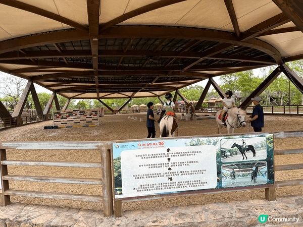 珠海嘅神秘島，又適合小朋友玩嘅兒童機動遊戲，亦都有啲啱大個啲...