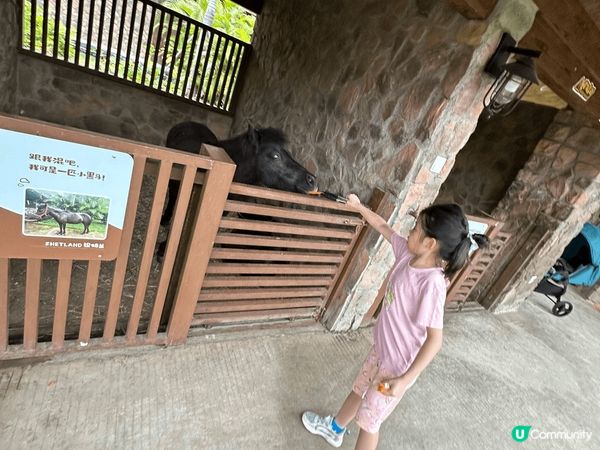 珠海嘅神秘島，又適合小朋友玩嘅兒童機動遊戲，亦都有啲啱大個啲...