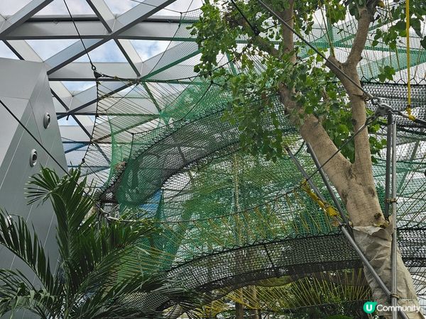 新加坡樟宜機場T1隔離的Jewel, 正門一入就見到一個漏斗...