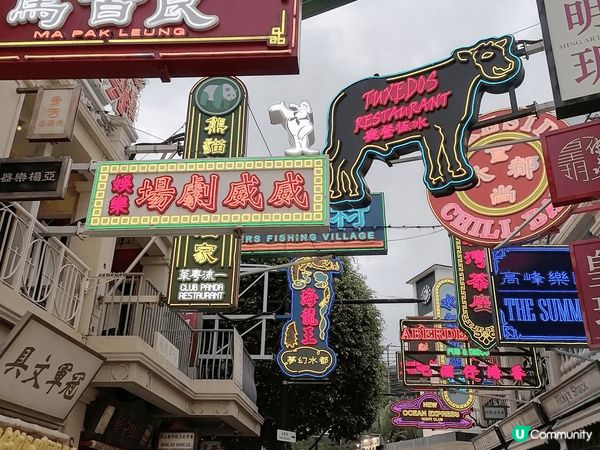 香港海洋公園, 項目多姿多彩,  是活動,最理想的歡樂世界....