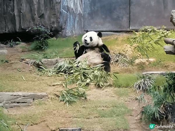 香港海洋公園, 項目多姿多彩,  是活動,最理想的歡樂世界....