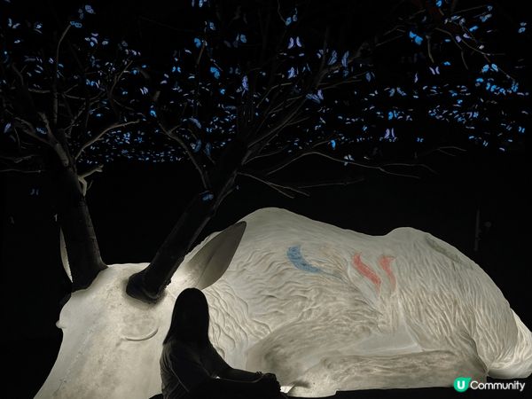 深圳的蝶光星河展覽