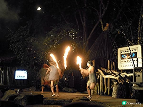 極力推介新加坡的Night Safari💯大家可在短短4-5...