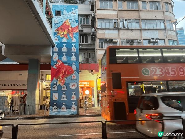 鍾意去旺角金魚街嘅原因好簡單：首先，呢度好有香港本地特色，成...