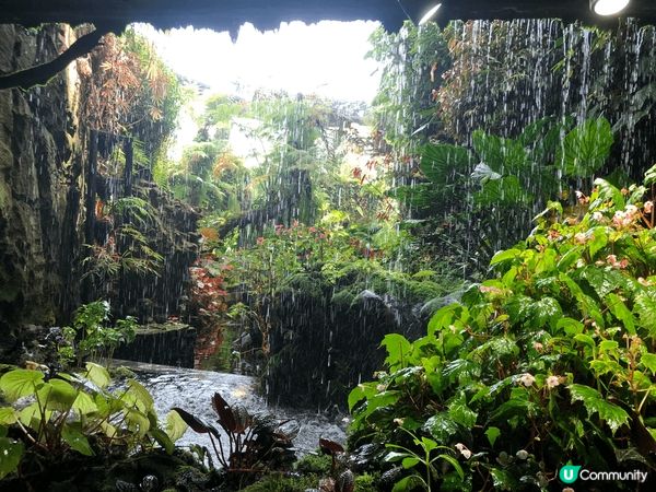 新加坡樟宜機場世界最高的室內瀑布雨漩渦從高空傾瀉而下的驚人氣...