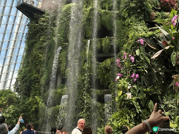 新加坡樟宜機場世界最高的室內瀑布雨漩渦從高空傾瀉而下的驚人氣...