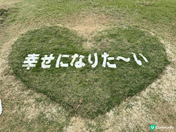 又係辣媽好介紹🤗