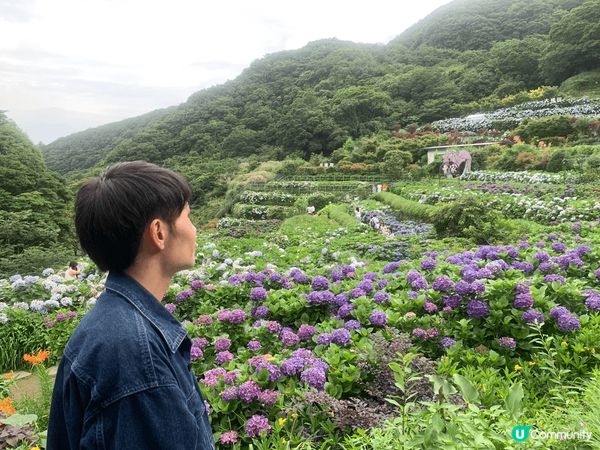 1.  基隆繡球花田之旅！☔️🌸 靚到爆！😍