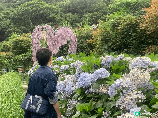 1.  基隆繡球花田之旅！☔️🌸 靚到爆！😍