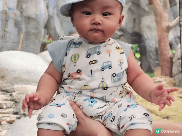 BB第一次海洋公園之旅，第一次見到同樣是BB的熊貓十分開心 ...