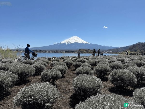 這個旅遊地點實在太吸引，令我樂而忘返，我正計劃下一年再去…
