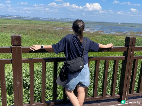 岳陽洞庭湖上既君山島