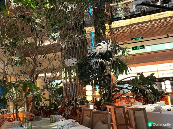 桂满陇（深圳罗湖金光华店）