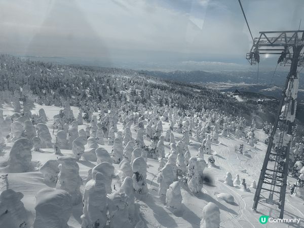 去日本藏王睇樹冰，非常之震撼！望住啲雪景有另一番風味！
