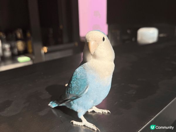 南頭古城集懷舊與創新於一身，有古蹟、有設計、有打卡位，食買玩...