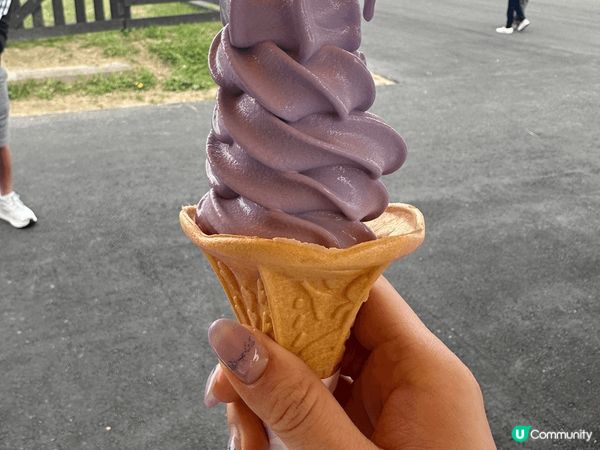 冰凍甜品冇得輸