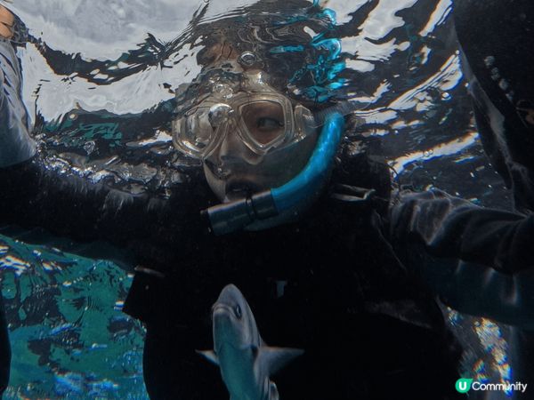 【日本沖繩夢幻之旅2025】邂逅青之洞窟的蔚藍奇蹟！✨  