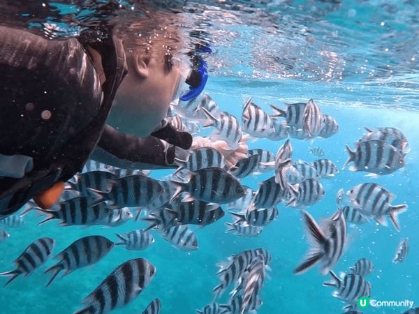 【日本沖繩夢幻之旅2025】邂逅青之洞窟的蔚藍奇蹟！✨  