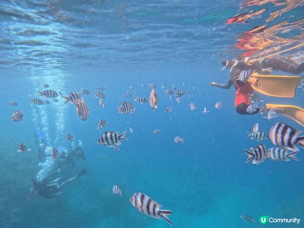 【日本沖繩夢幻之旅2025】邂逅青之洞窟的蔚藍奇蹟！✨  