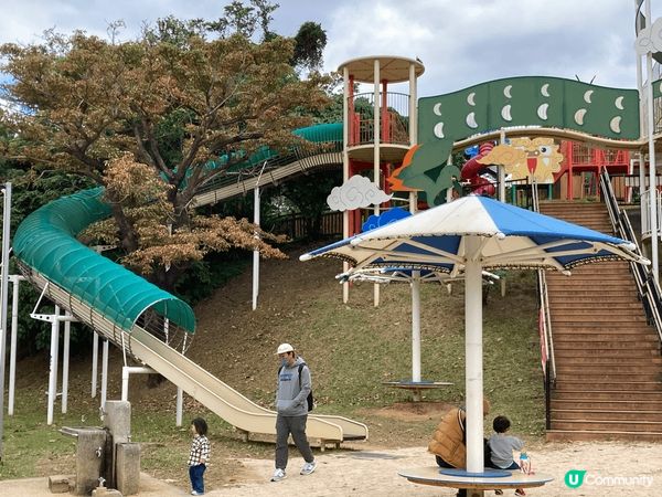 一張係打鞦韆，另一個瀡滑梯，喺香港極少可以做嘅事，