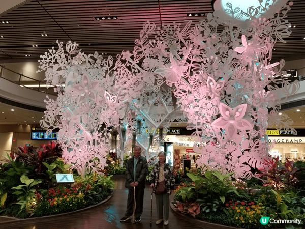 呢個係最珍貴嘅新加坡之旅🚗