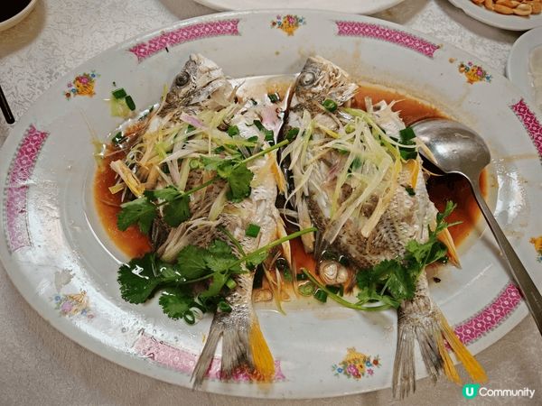 流浮山野生黃腳鱲可遇不可求, 季節限定, 鮮香肥味. 清酒煮...