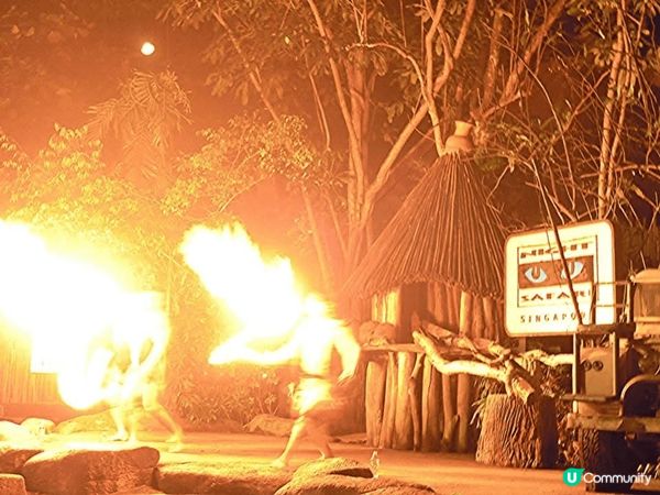 極力推介新加坡的Night Safari💯大家可在短短4-5...