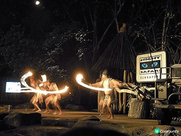 極力推介新加坡的Night Safari💯大家可在短短4-5...