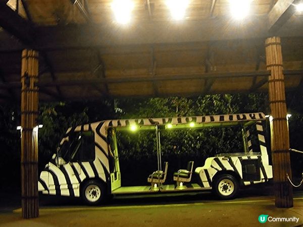極力推介新加坡的Night Safari💯大家可在短短4-5...