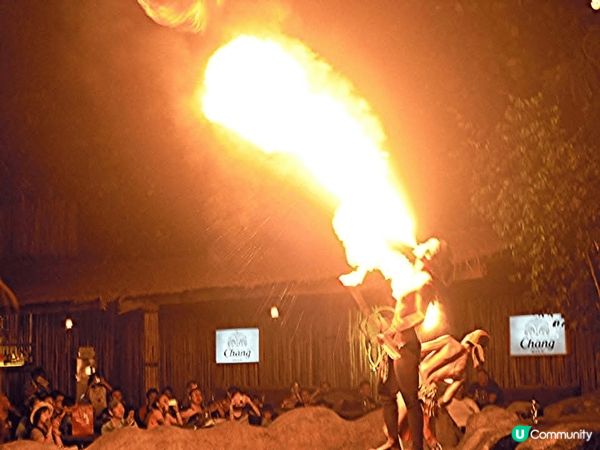 極力推介新加坡的Night Safari💯大家可在短短4-5...