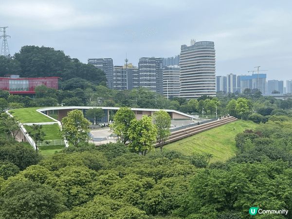 深圳虹橋公園！ 輕鬆休閒之旅