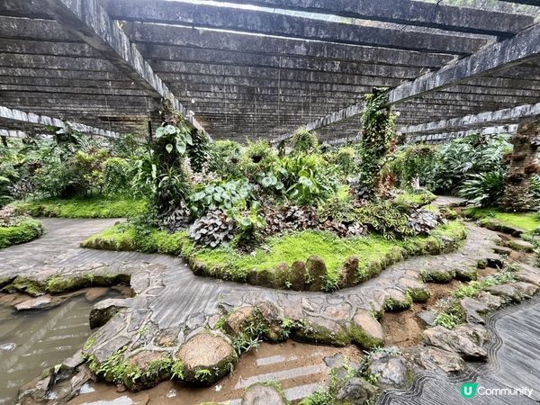 深圳仙湖公園係深圳最值得花上一整日時間去欣賞自然風景和植物嘅...