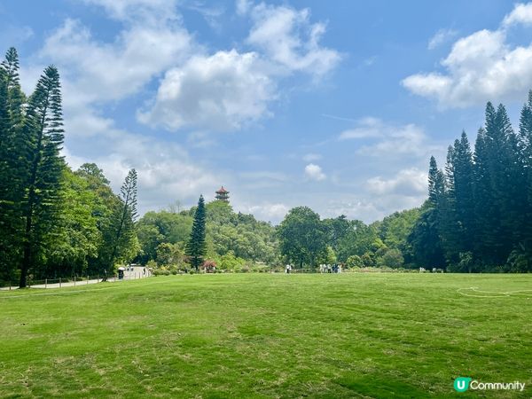 深圳仙湖公園係深圳最值得花上一整日時間去欣賞自然風景和植物嘅...