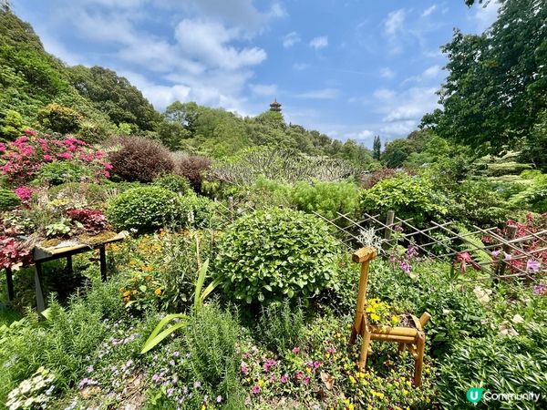 深圳仙湖公園係深圳最值得花上一整日時間去欣賞自然風景和植物嘅...
