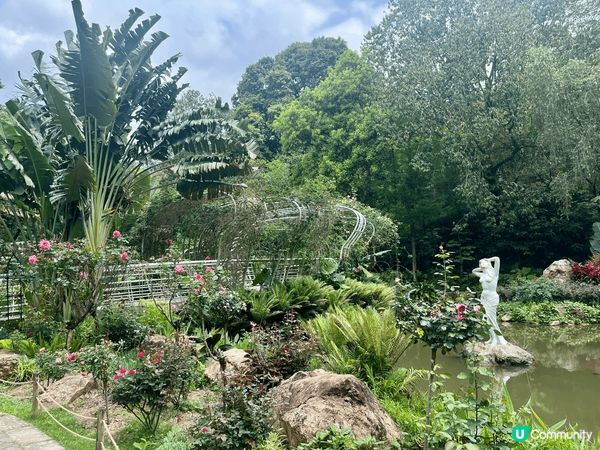 深圳仙湖公園係深圳最值得花上一整日時間去欣賞自然風景和植物嘅...