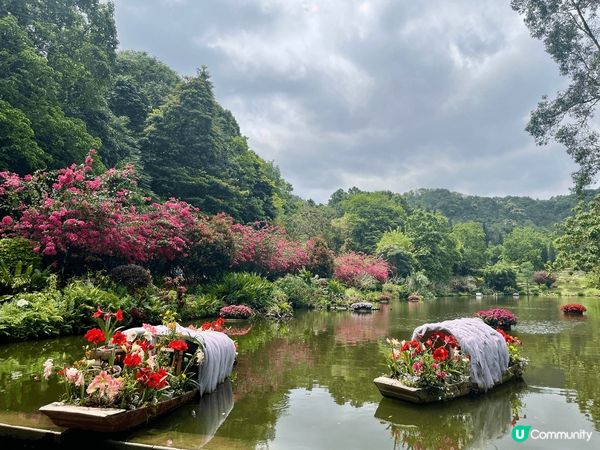 深圳仙湖公園係深圳最值得花上一整日時間去欣賞自然風景和植物嘅...