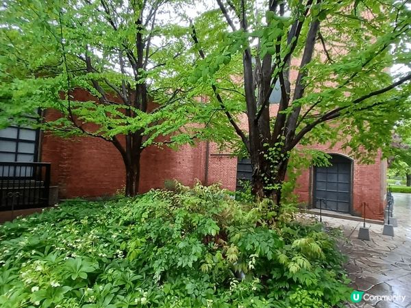 早前去名古屋旅行，途經這個地方，忘記了名稱，但呢度環境好舒服...