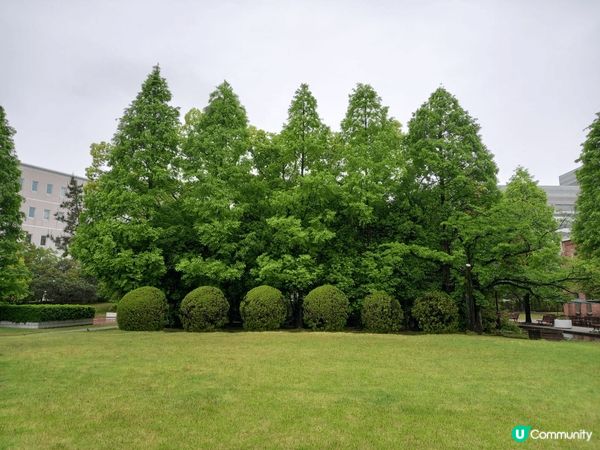 早前去名古屋旅行，途經這個地方，忘記了名稱，但呢度環境好舒服...