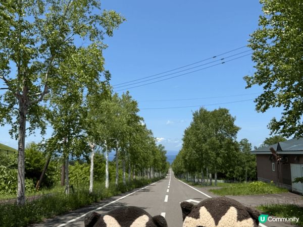 噴火灣全景公園