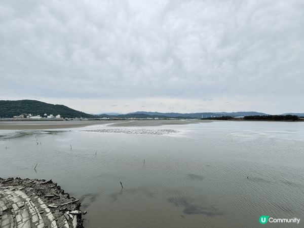 和歌山真係一個好好去嘅地方，喺片男波海水浴場睇海睇一日都唔係...