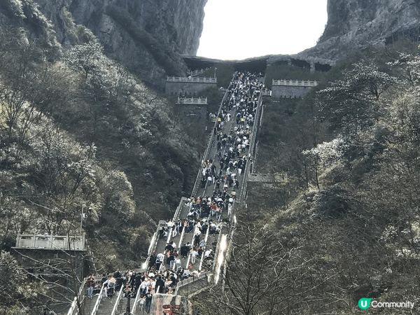 張家界真是人間仙境，天門山與天比高，天門洞就似通往天上的門，...